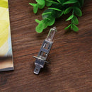 H1 12V 100W Universal Car Lamp Light Bulb Head Light Quartz Halogen Lamp A