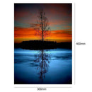 5D DIY Full Drill Diamond Painting Tree Cross Stitch Embroidery Mosaic Kit