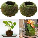 2Pcs Moss Ball Flower Plant Pot, Bird Nest, Birds House, DIY Gardening Home