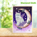 5D DIY Special Shaped Diamond Painting Cat Cross Stitch Mosaic Craft Kits
