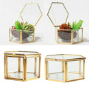 Geometric Terracotta Hexagon Glass Terracotta Succulent Planter Favors