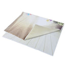 1m x 1.5m Lovely Bear Floor Balloon Studio Backdrops Children Photography B