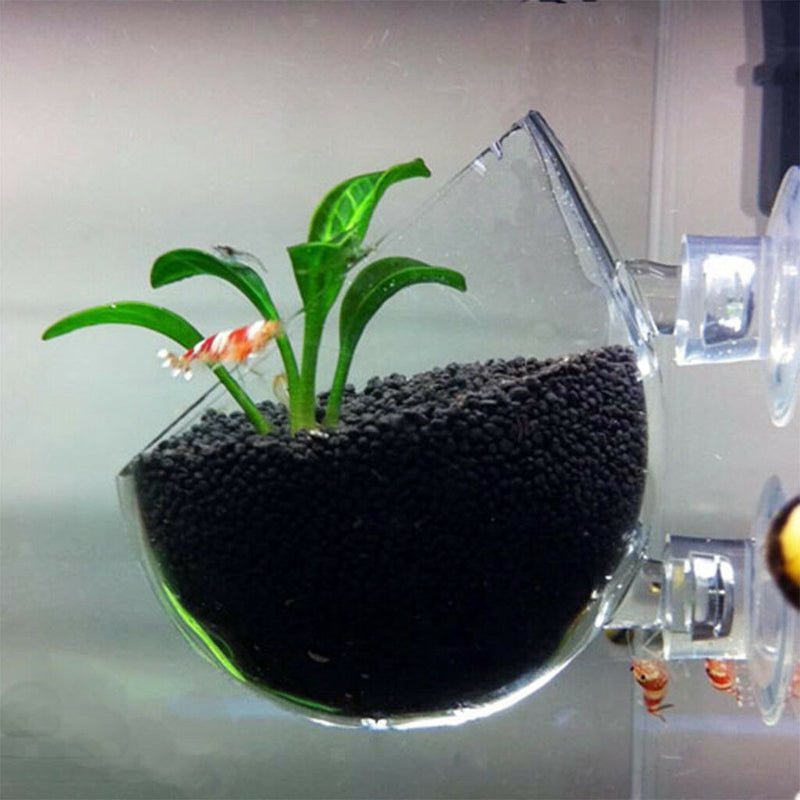 Set of 2,   Tank Decor Aquatic Plant Crystal Glass Planter Suction Cup