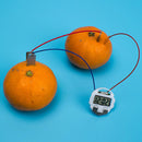 1 Set children bio energy science kit fruit supply electricity experiments  Gw