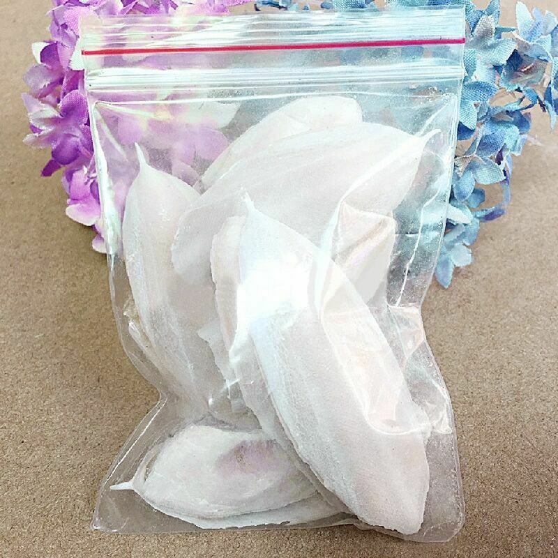 1 Bag Cuttlefish Cuttle Fish Bone Parrotts Birds Reptiles L9N6 Food Tortois Y4Q0