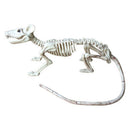 Skeleton Rat Plastic Animal Skeleton Bones for Horror Halloween Decor LJ