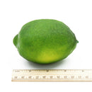 1PCS 9.5CM Artificial Simulation fruit Lemon Kindergarten Garden Family Kit I2B6