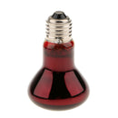 3 Pcs E27 Base Reptile Terrarium UVA Infrared Heat Light Bulb Nightlight 75W