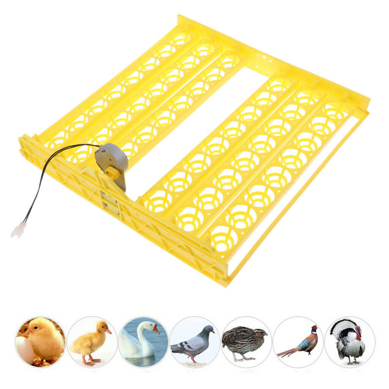 220V 48-digital Bird Eggs Turner Tray Motor Automatic Tray Equipment Quail