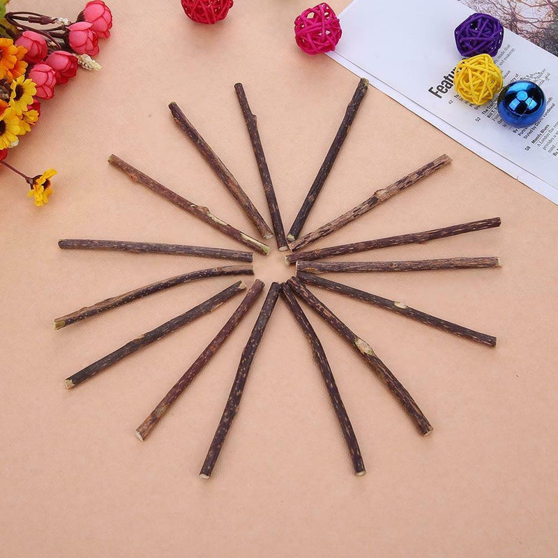 50pcs Natural Fruit Matatabi Cat Snacks Sticks Catnip Pet Cat Molar Rods