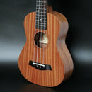 21 Inch Ukulele Soprano Beginner Ukulele Guitar Ukulele Mahogany Neck Delic
