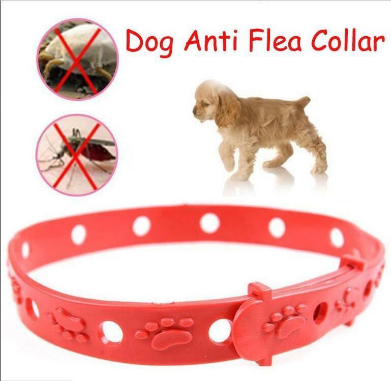 Pet Safety Collar Large Dog Anti Flea Tick Mosquito Elimination Plastic