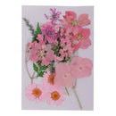 2x Multiple Pressed/Dried Leaves Flowers Scrapbooking Art Craft DIY Material