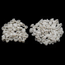 2 Packs Dental Temporary Crown Material For Anterior + Molar Teeth Veneers  %o