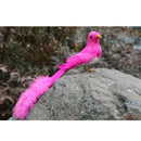 Handmade Craft Roadrunner Artificial Birds Feather Decor Wire Christmas Tree