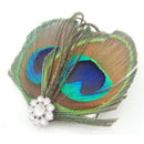 Little Cute Peacock Feather Hair Clip Y2A3