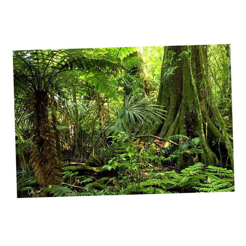 Aquarium   Tank Background Poster Rainforest Landscape Decor 60x150cm