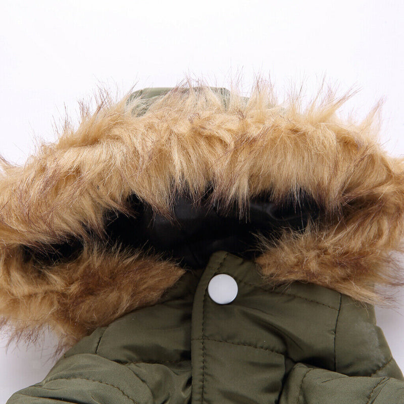 Pet Dog Cat Hooded Jacket Winter Warm Windproof Plush Hat Coat Green