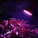 E27 LED 60 led 3W AC220V plants Lamp Plant Lamp Plant bulb