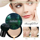 Mushroom Head Air Cushion  Concealer Foundation Stick Moisturizing NEW SALE HH&
