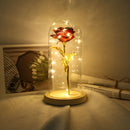20LED Night Lights Rose Glass Dome Copper Wire String Lights (Dark Red)