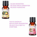 6 Scents 100% Pure Natural Essential Oil Bottle for Aromatherapy Aroma Diffuser