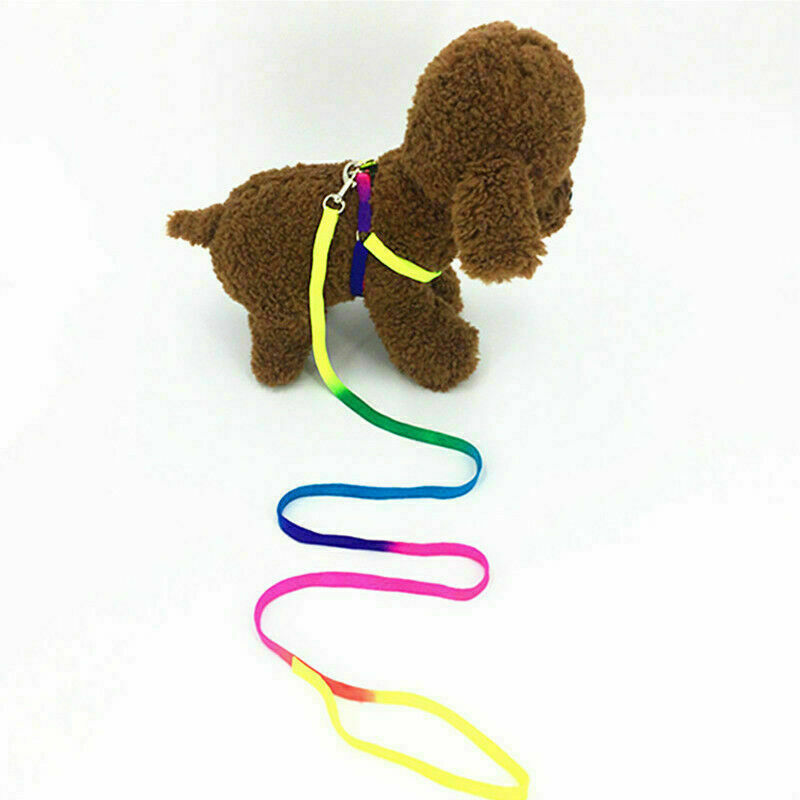 Small Pet Dog Puppy Cat Kitten Harness For Walking AU Lead Leash C1A1 Colla W0L1