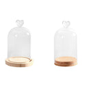 Decorative Glass Dome with Wooden Base - Cloche Bell Jar Display DIY 15cm