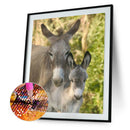 5D DIY Full Round Diamond Painting Donkey Rhinestones Cross Stitch (QF309) A