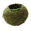 2pcs Naturally Green Moss Ball Flowerpot Plant Holder Garden Ornament Holiday