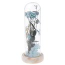 16cm Enhanced Dried Flower Glass Cover Display Cloche Jar Dome Wooden Base c