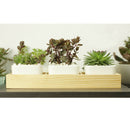 4 Pieces Wood Flower Pots Succulent Planter Trough Boxes Rustic Containers
