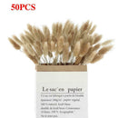 Dried Flowers Bouquet Rabbit Tail Grass Real Flower Weddings Home Decors New 60pcs