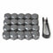 20pcs Car Wheel Nut Bolt Center Cover Gray 17mm Caps + 1x Clip for VW Audi EVU