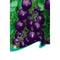 1 Bag 20 Tomato Seed Vegetable Natural Food