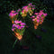 2pcs Solar Lights Ground Buried Light Waterproof Garden Flower Lamp (Pink) A