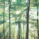5x3ft Photography Backdrop Vinyl Autumn Sunrise Scenery Forest Decor