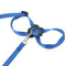 Parrot Leash Adjustable Harness Bird Anti Fly Outdoor Training Rope (Blue)