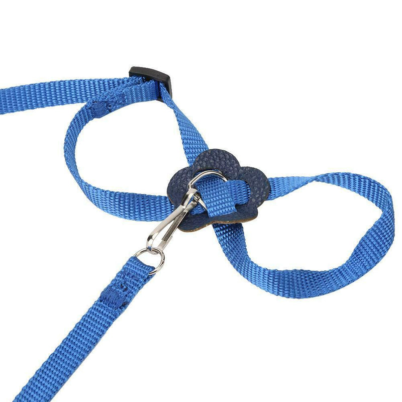 Parrot Leash Adjustable Harness Bird Anti Fly Outdoor Training Rope (Blue)