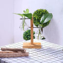 Creative Transparent Water Planting Glass Vase With Wooden Stand Desktop De S6X8