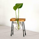 Glass Vase Test Tube In Wood Chair For Flowers Plants Home Decor-3