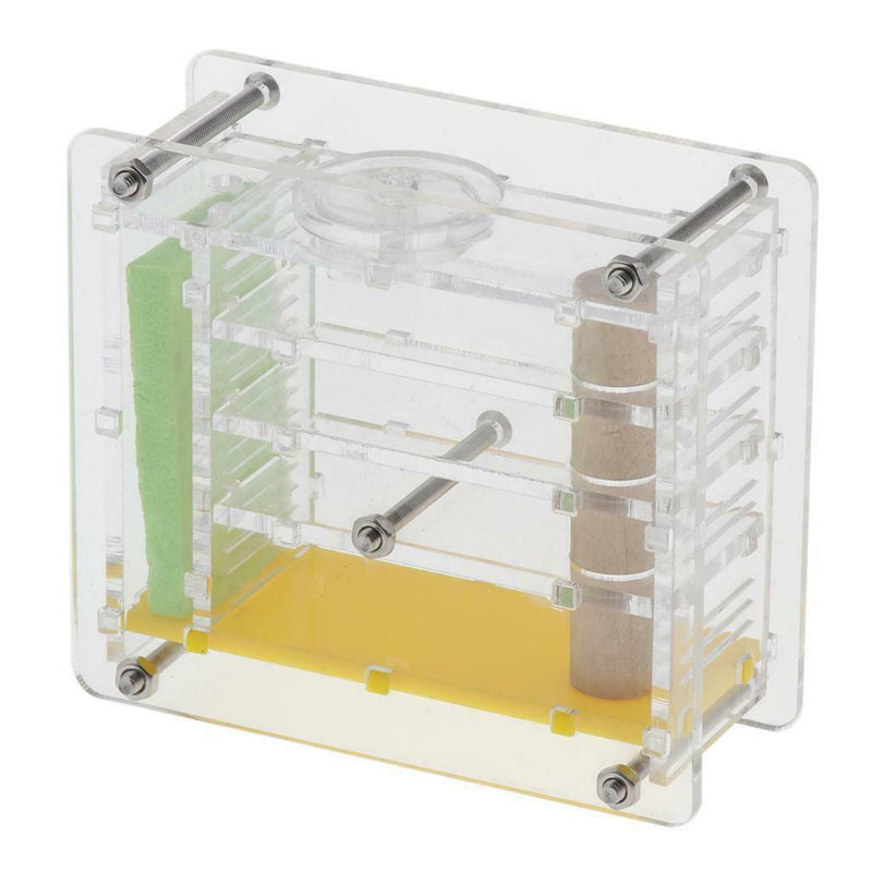 Clear Ant Feeding Nursery Box Ant Farm House Castle For Insect Ant Reptile B