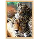5D DIY Full Drill Diamond Painting Animal Tiger Cross Stitch Kits (K517)