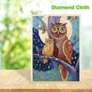 5D DIY Full Drill Diamond Painting Bird Embroidery Mosaic Craft Kits (w617)