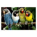 Diy Diamond Painting Parrot Animal Full Drill Rhinestone Cross Stitch Kits  U5K8