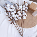Naturally Dried Cotton Stems Artificial Flower Floral Decor Valentines L_XR3C