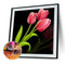 5D Full Round Drill Diamond Painting DIY Pink Tulip Wall Rhinestone Picture