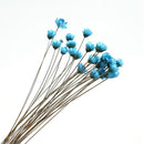 30Pcs Natural Daisy Beautiful Daisy Preserved Flowers Dried Flowers Everlas K3B3