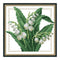 12 Months Flower DIY Cross Stitch 11CT Printed Embroidery Kits (H427 May)