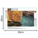 Diamond Painting Round Shaped Diy 5D Partial Drill Cross Stitch Diamond Emb F2Z4